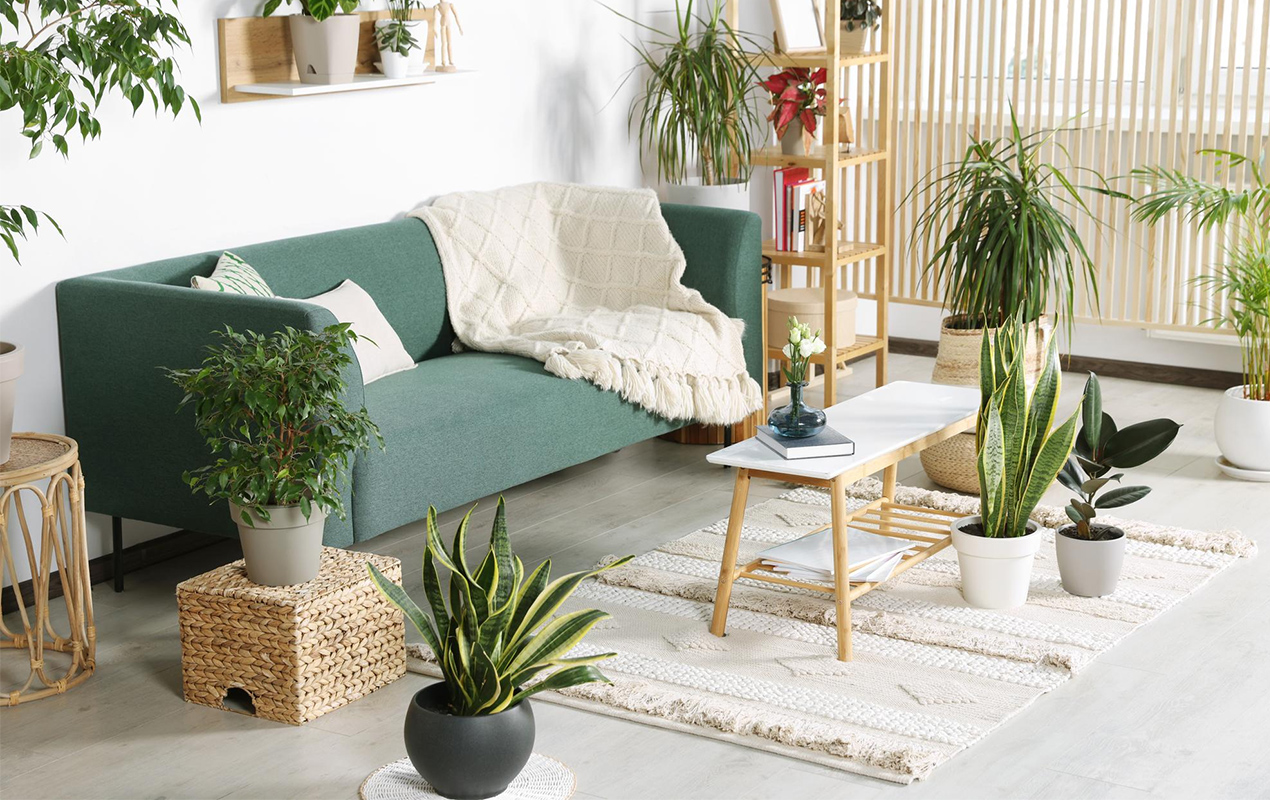 White living room interior with houseplants