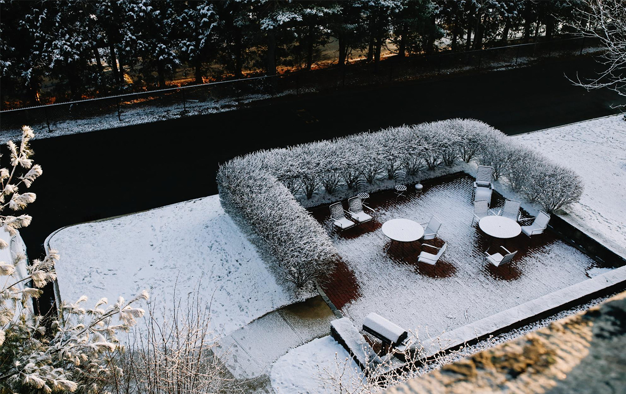 Winter garden with hedges